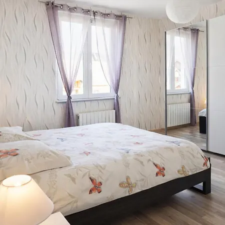 Convivial Avec Terrasse Abritee, 3 Chambres, Cuisine Equipee, Espace Detente, Proche Autoroutes Et Pistes Cyclables. Baldersheim